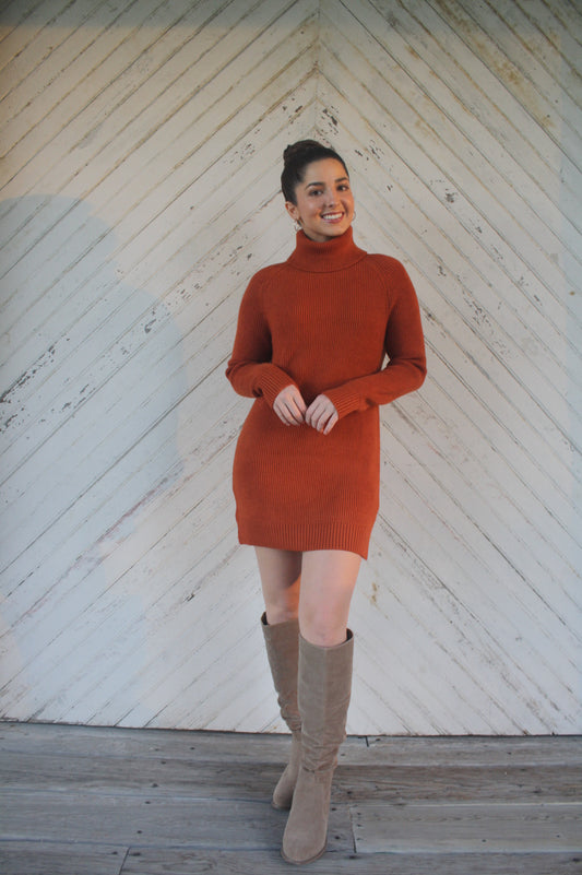 Cozy Up Sweater Dress